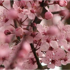 Meet your Posher, ♡